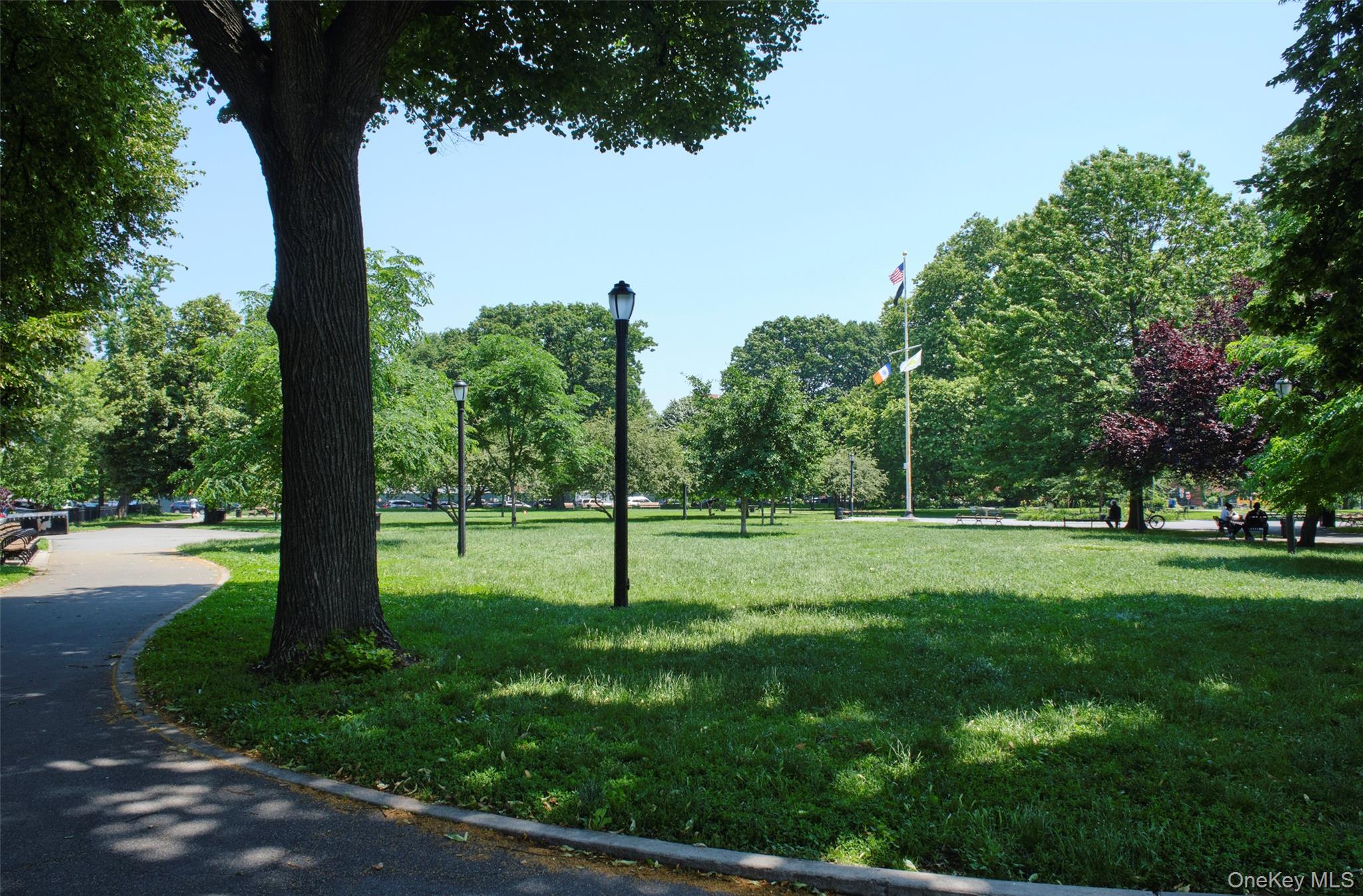 #19 photo, 99 Pioneer Street, ブルックリン区 Brooklyn , NY 11231