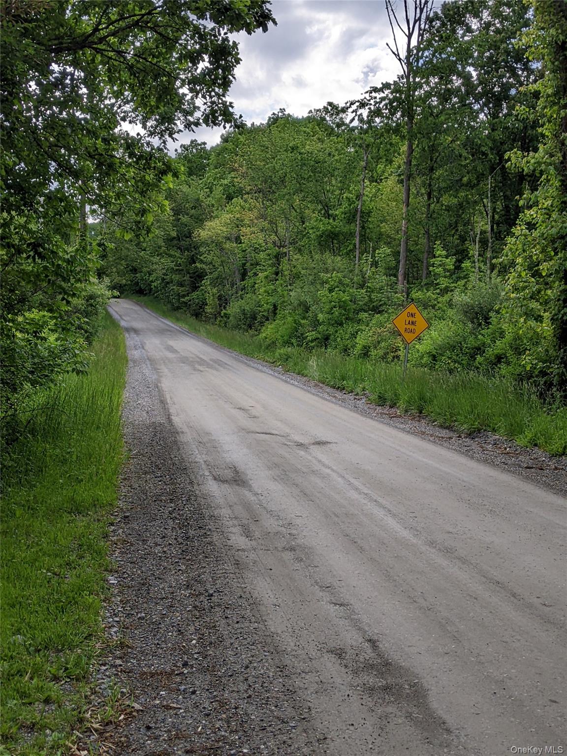 #4 photo, Parcel 1 - TBD Woodstock Road, Millbrook , NY 12545