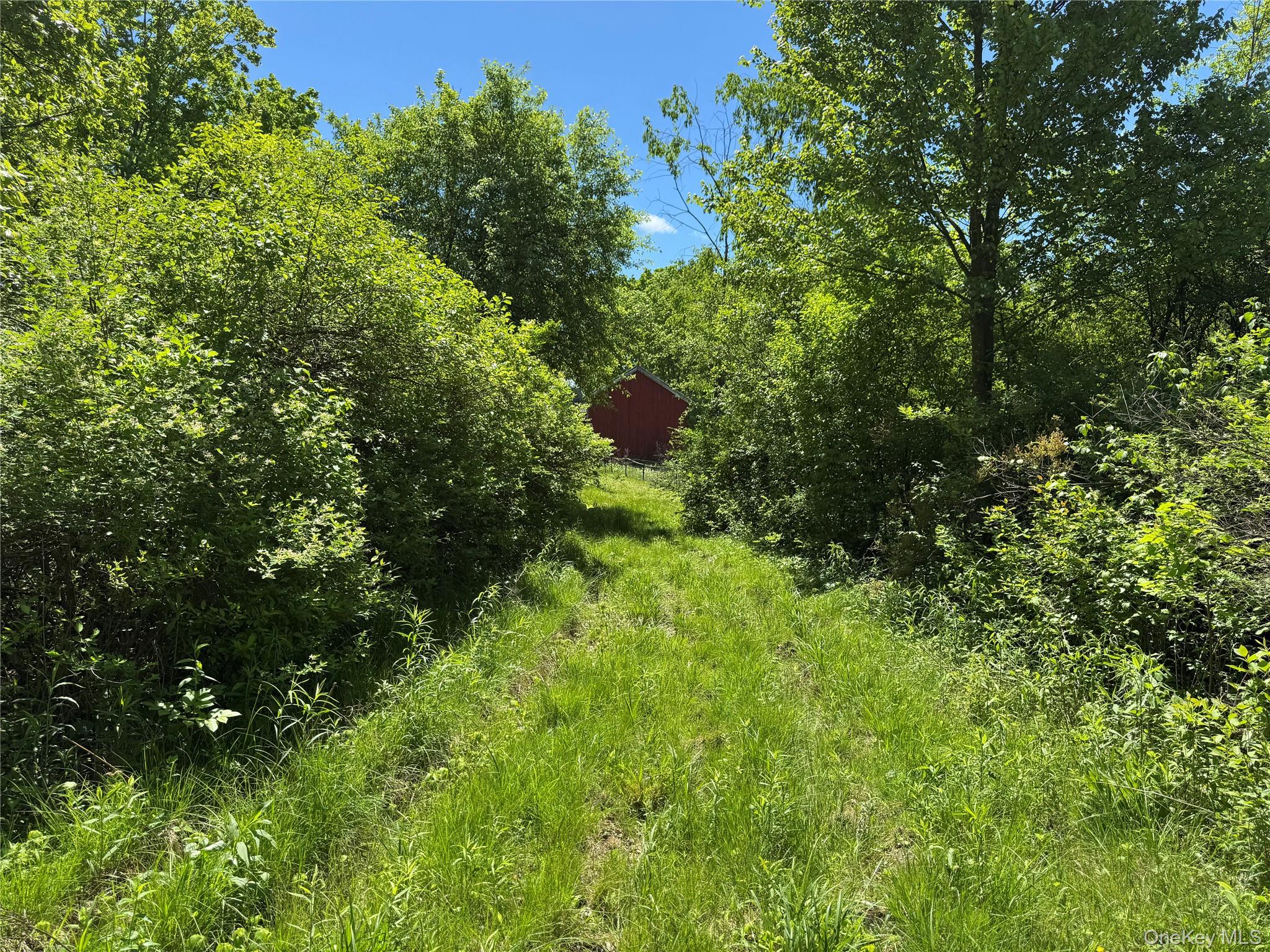 #5 photo, Parcel 1 - TBD Woodstock Road, Millbrook , NY 12545