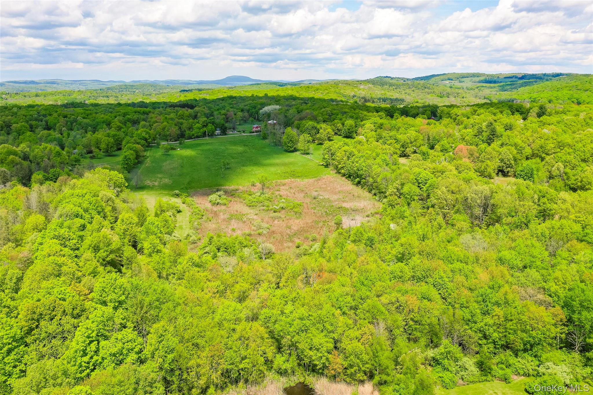 #7 photo, 521 Woodstock Road, Millbrook , NY 12545