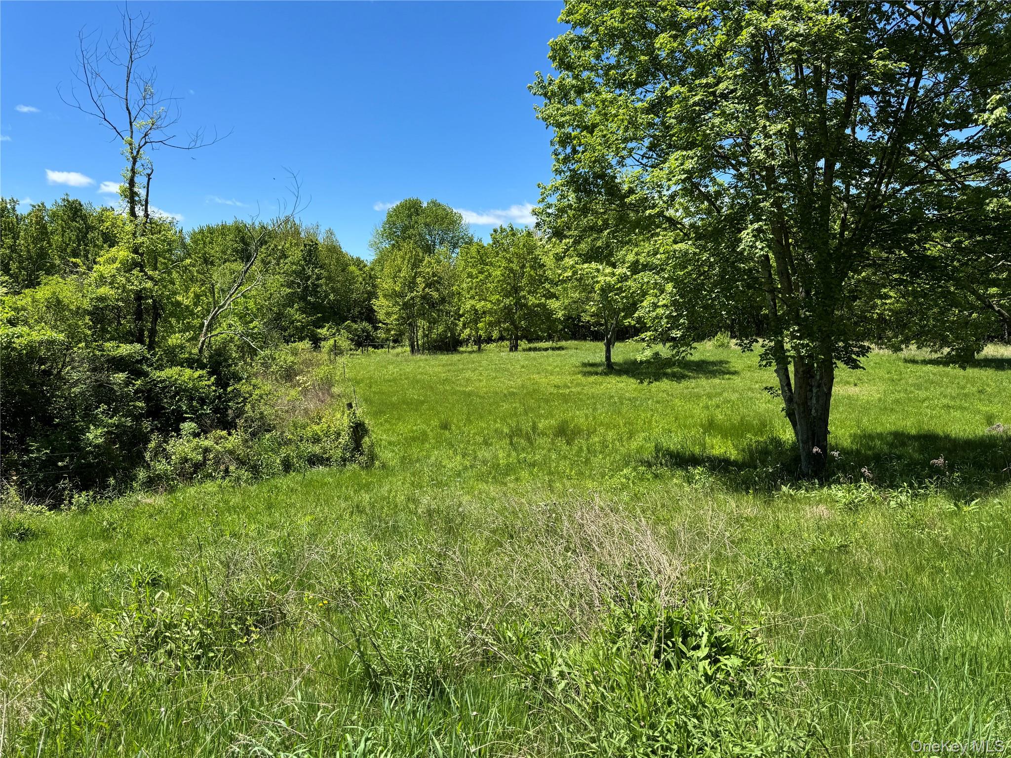 #2 photo, 519 Woodstock Road, Millbrook , NY 12545