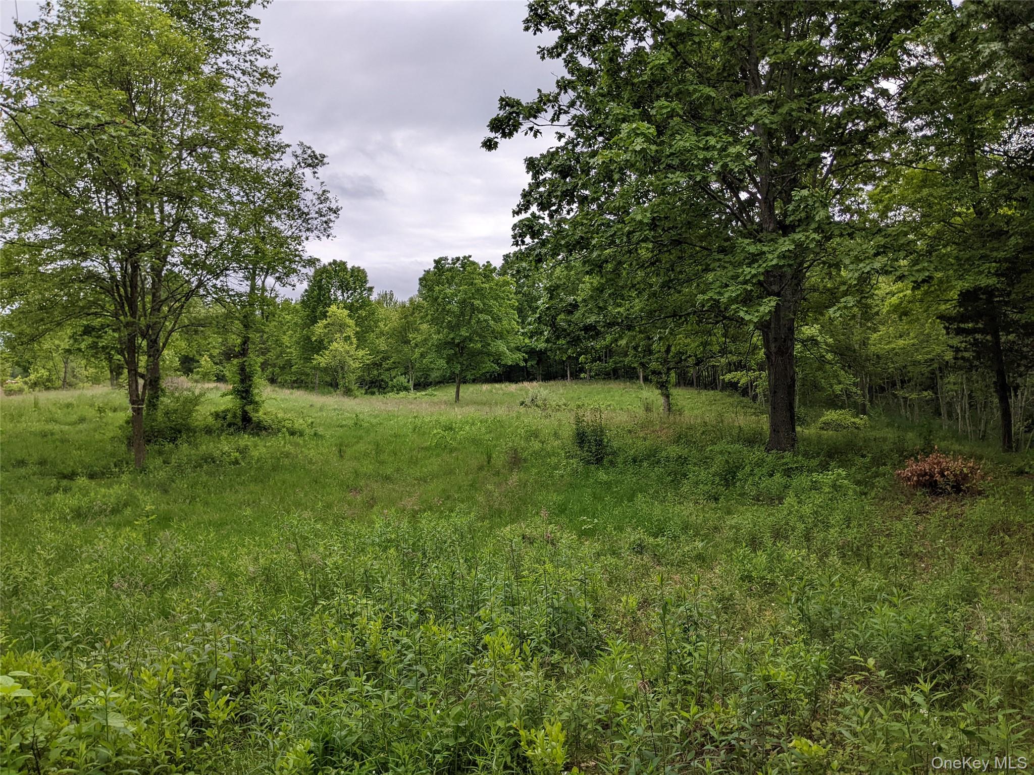 #4 photo, 519 Woodstock Road, Millbrook , NY 12545