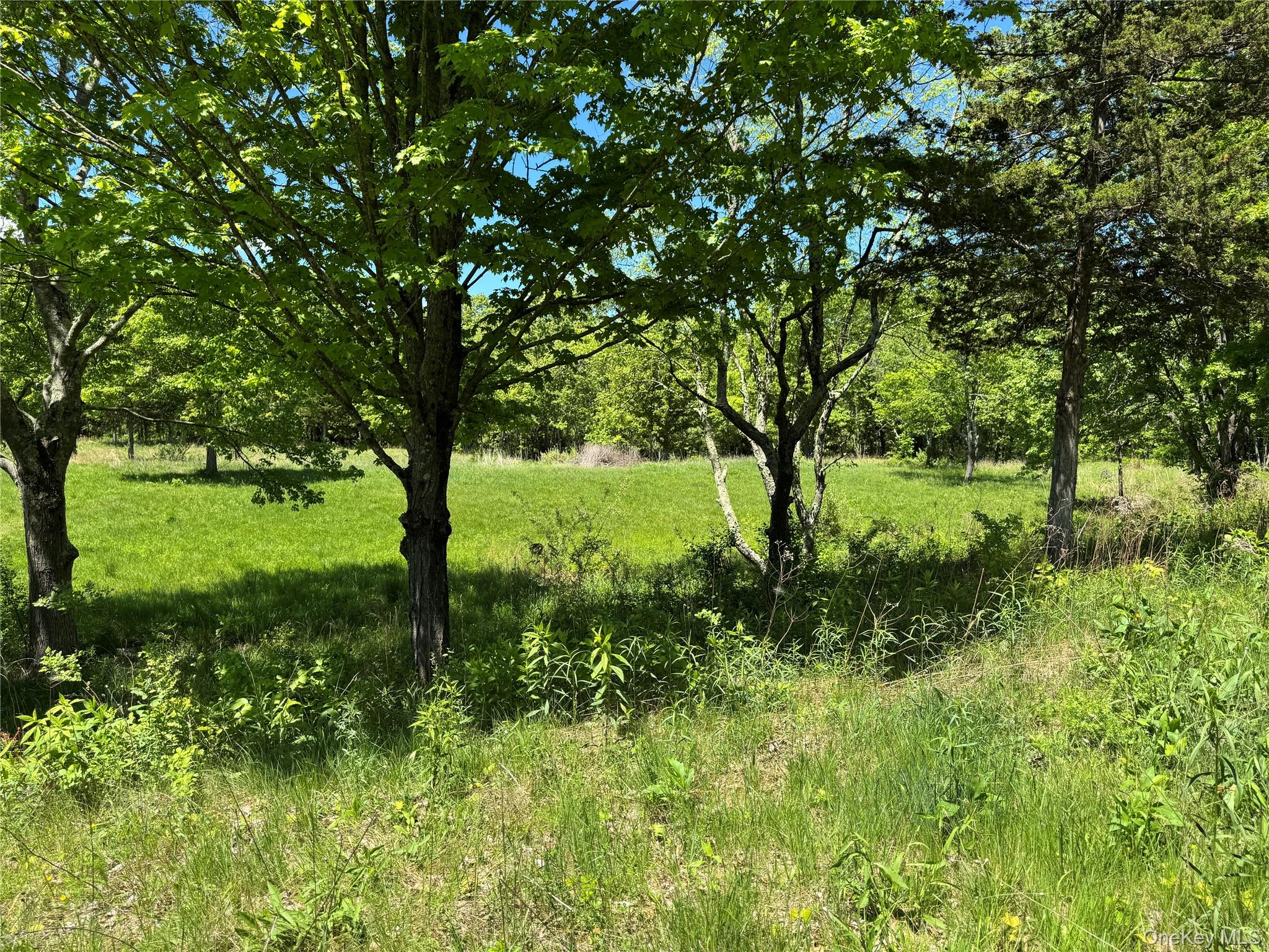 #5 photo, 519 Woodstock Road, Millbrook , NY 12545