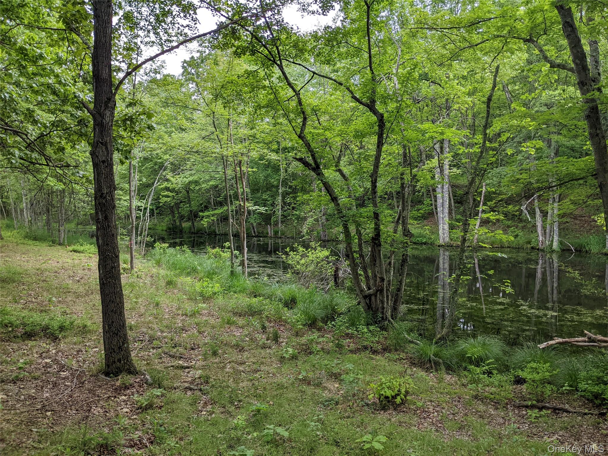 #6 photo, 519 Woodstock Road, Millbrook , NY 12545