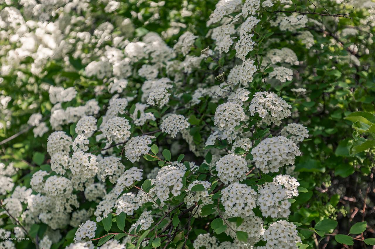 #10 photo, 7 Western Ave, Charlton , NY 12019