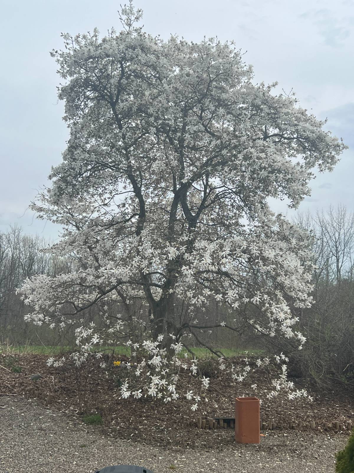 #14 photo, 7 Western Ave, Charlton , NY 12019