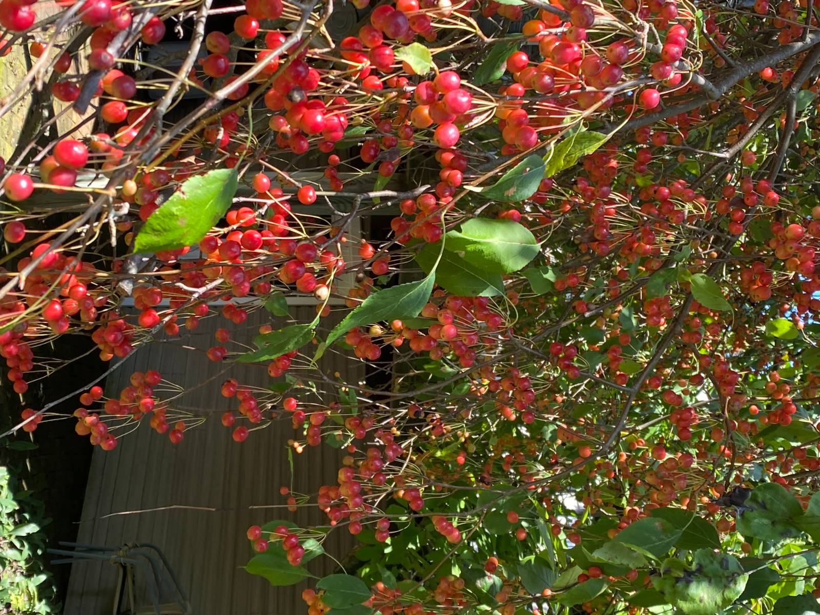 #16 photo, 7 Western Ave, Charlton , NY 12019