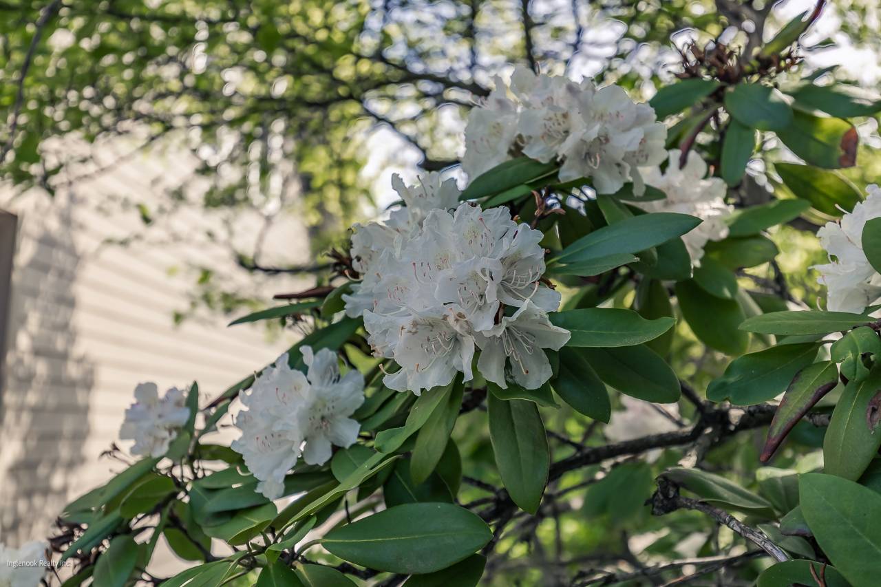 #88 photo, 7 Western Ave, Charlton , NY 12019