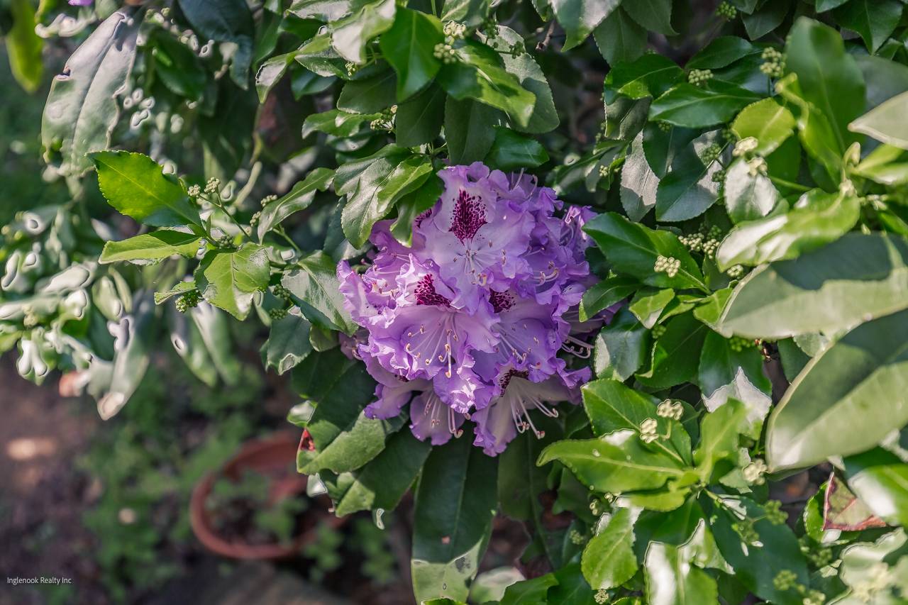 #90 photo, 7 Western Ave, Charlton , NY 12019