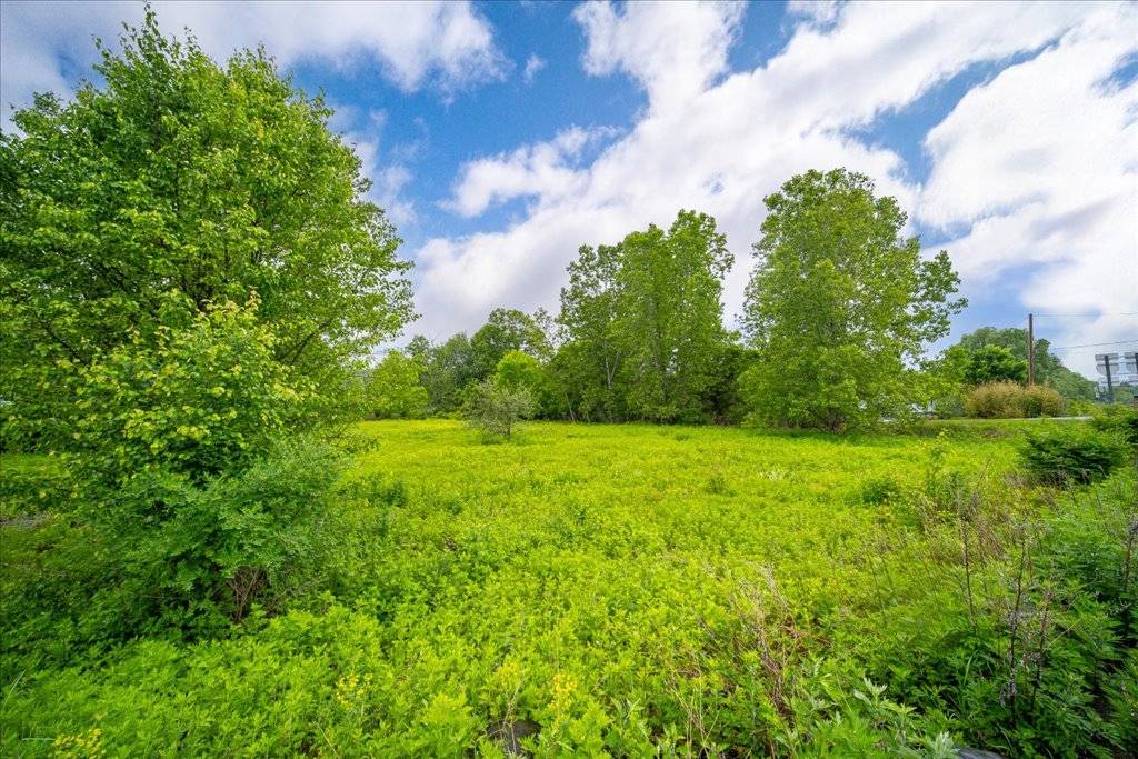 #4 photo, 573 International Blvd., Rock Tavern , NY 12550