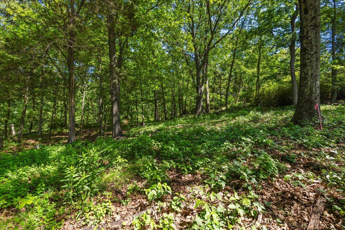 #6 photo, 8 Prickly Pear Hill Road, Croton-on-Hudson , NY 10520