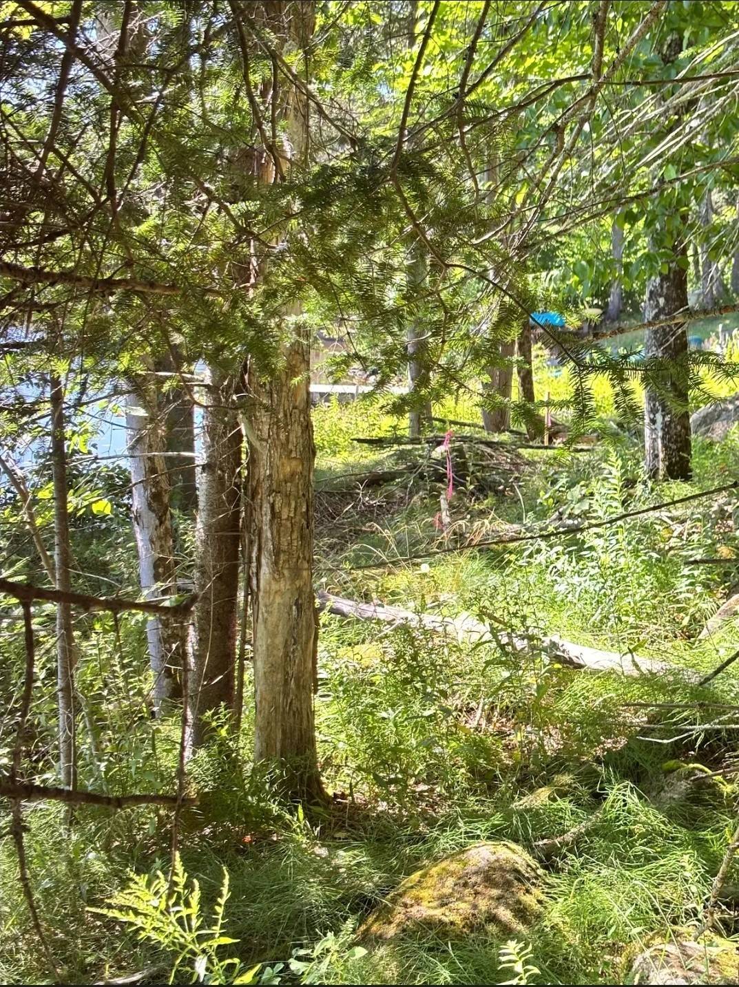 #21 photo, 0 SUNRISE Lane, Indian Lake , NY 12842