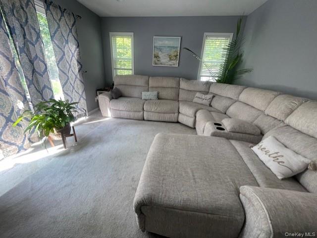 #9 photo, 10 Trout Ponds Court, 東長島 Brookhaven , NY 11719