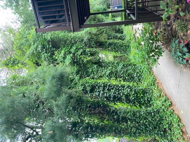 #6 photo, 615 Broadway, サフォーク郡 Amityville , NY 11701