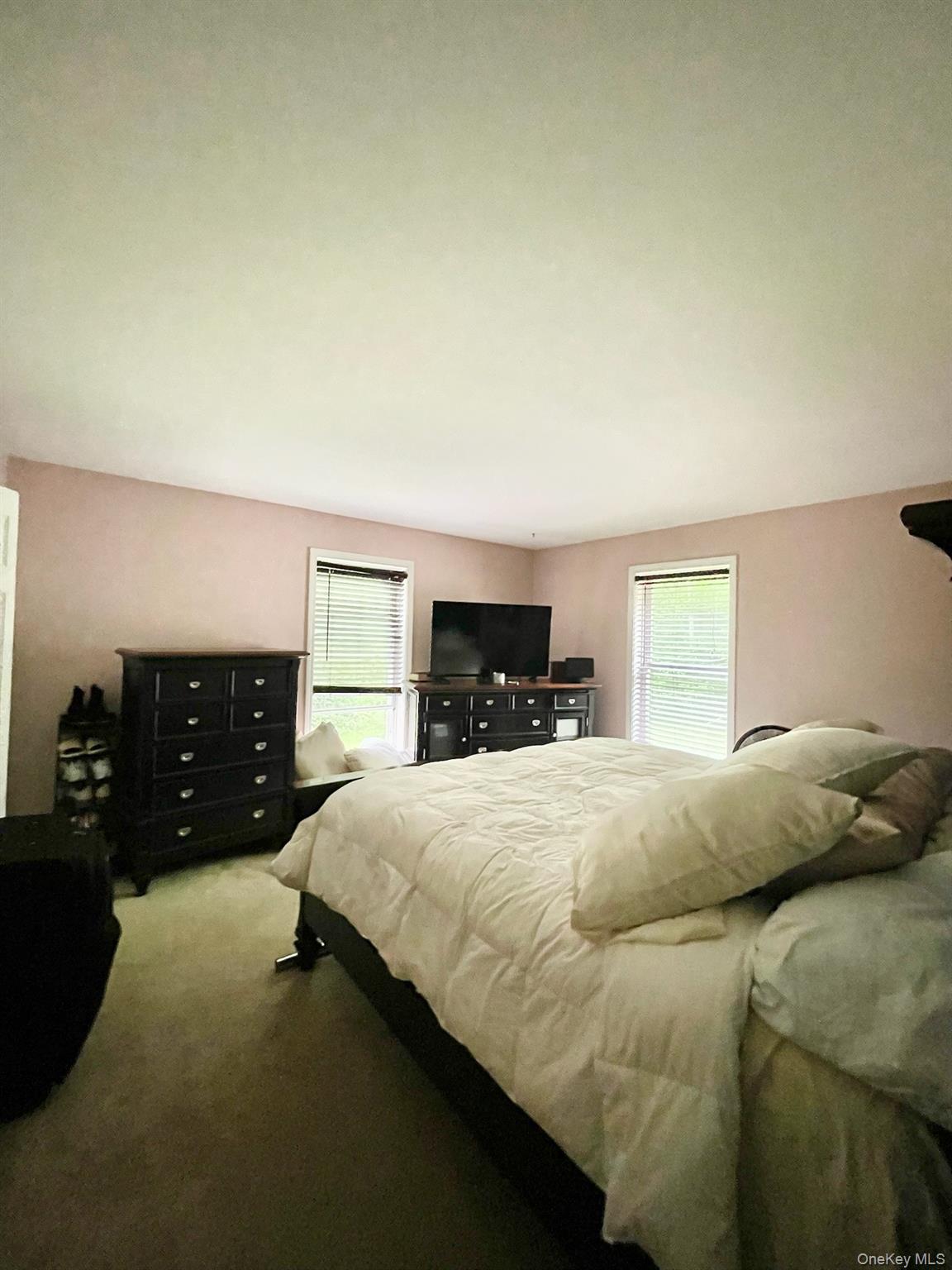 #16 photo, 496 Minisink Turnpike, Port Jervis , NY 12771