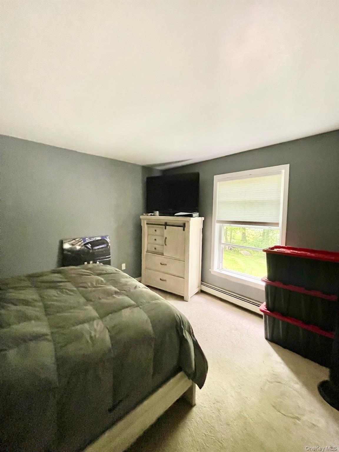 #18 photo, 496 Minisink Turnpike, Port Jervis , NY 12771