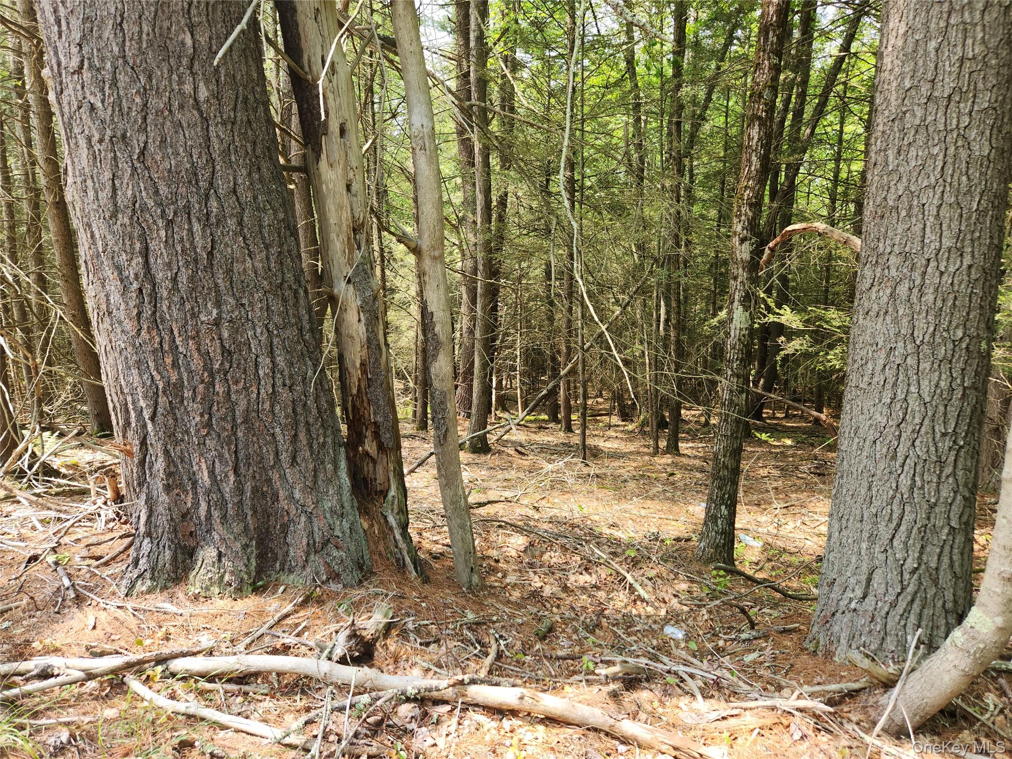 #2 photo, Highland Lake, Eldred , NY 12732