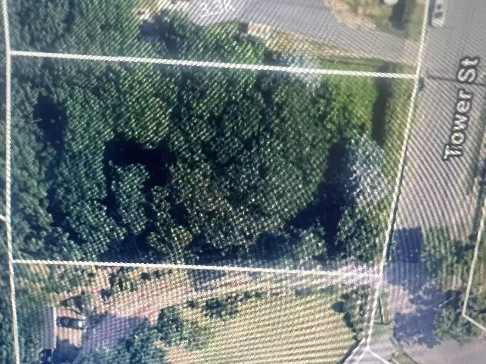 #2 photo, Tower Street, 東長島 亨廷顿 Huntington , NY 11746