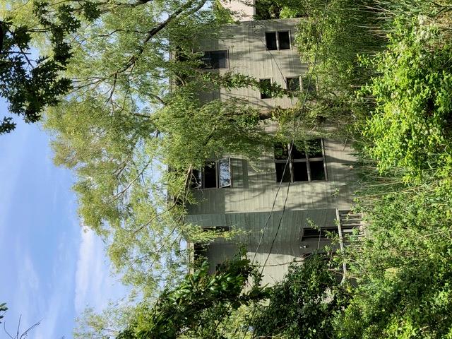 #10 photo, 357 Crown Walk, サフォーク郡 Fire Island Pines , NY 11782