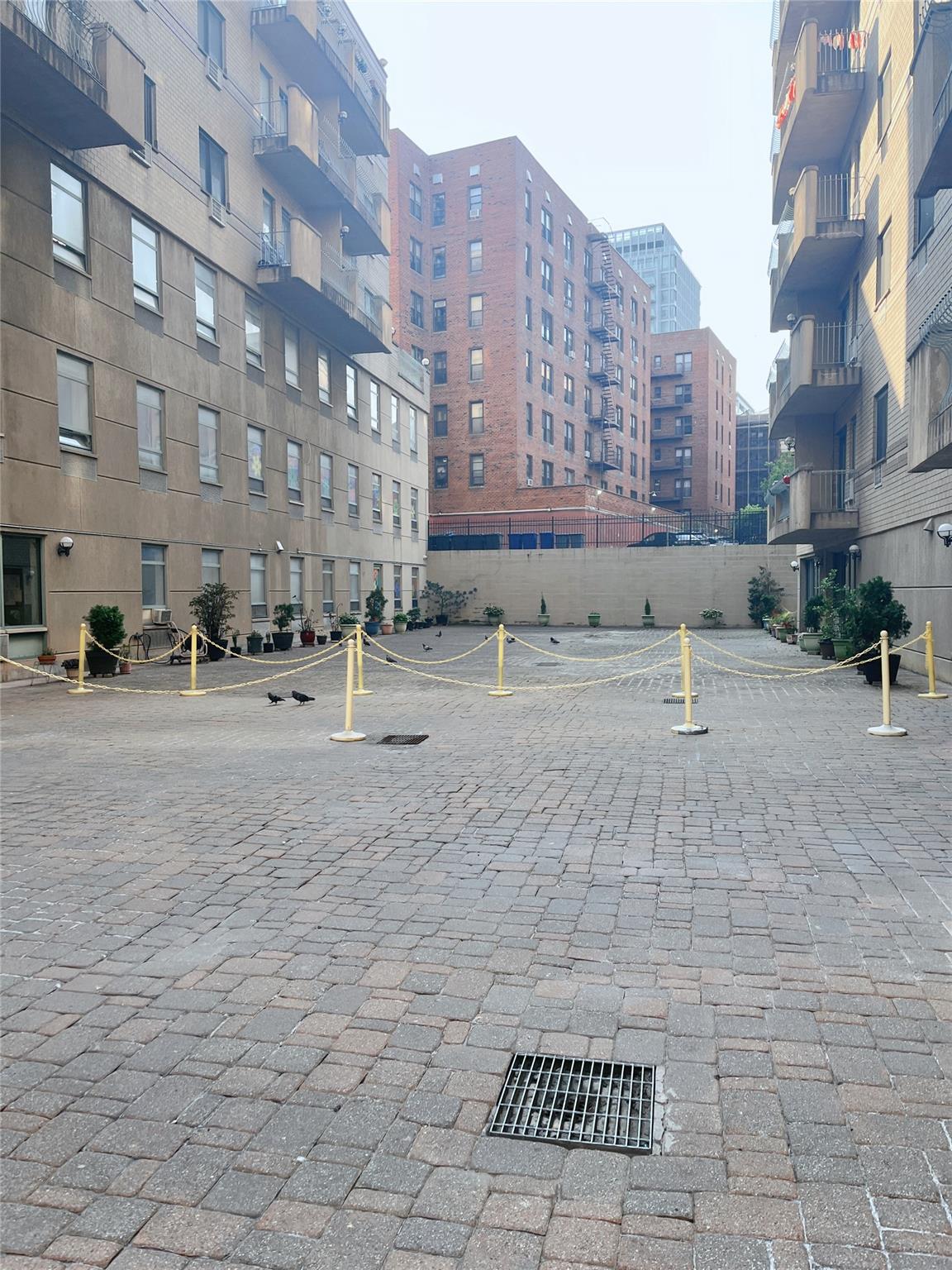 #10 photo, 4231 Colden Street, クイーンズ区 Flushing , NY 11355