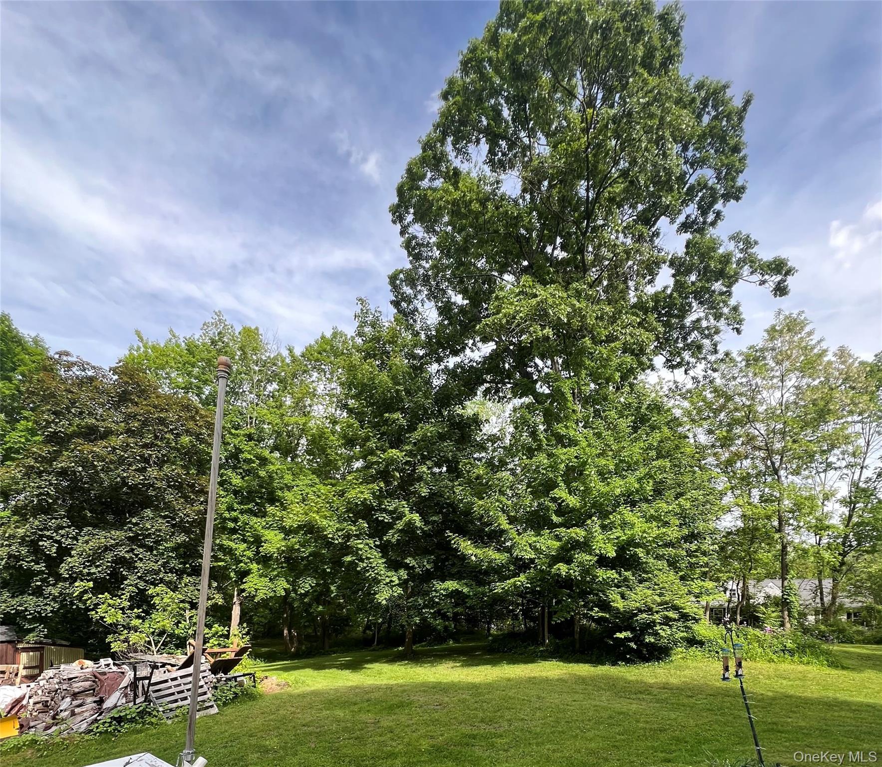 #9 photo, 24 State Route 217, Hudson , NY 12534