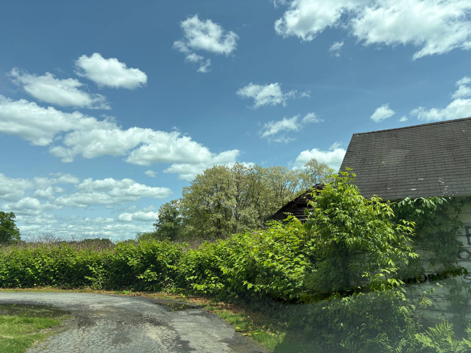 #2 photo, 114 North Street, Delmar , NY 12054