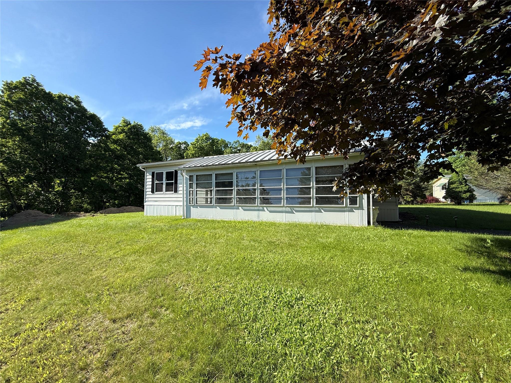 #1 photo, 1 Orchid, New Paltz , NY 12561