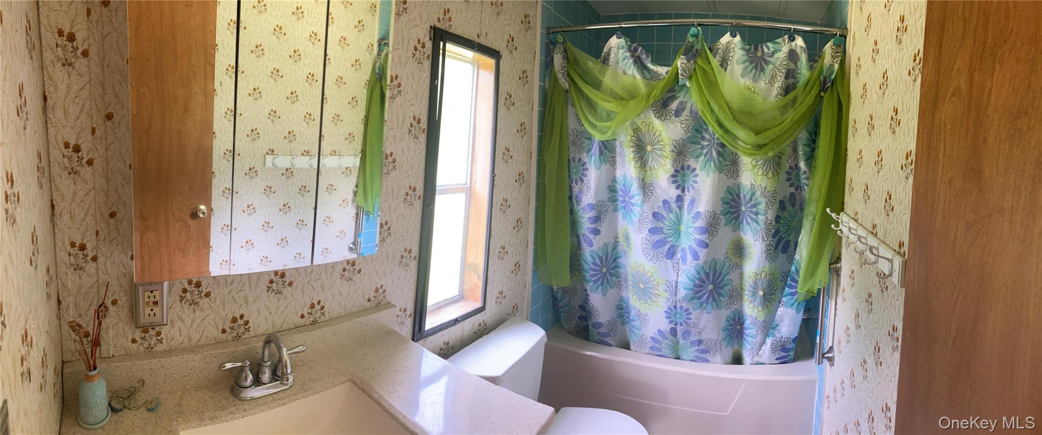 #10 photo, 1 Orchid, New Paltz , NY 12561