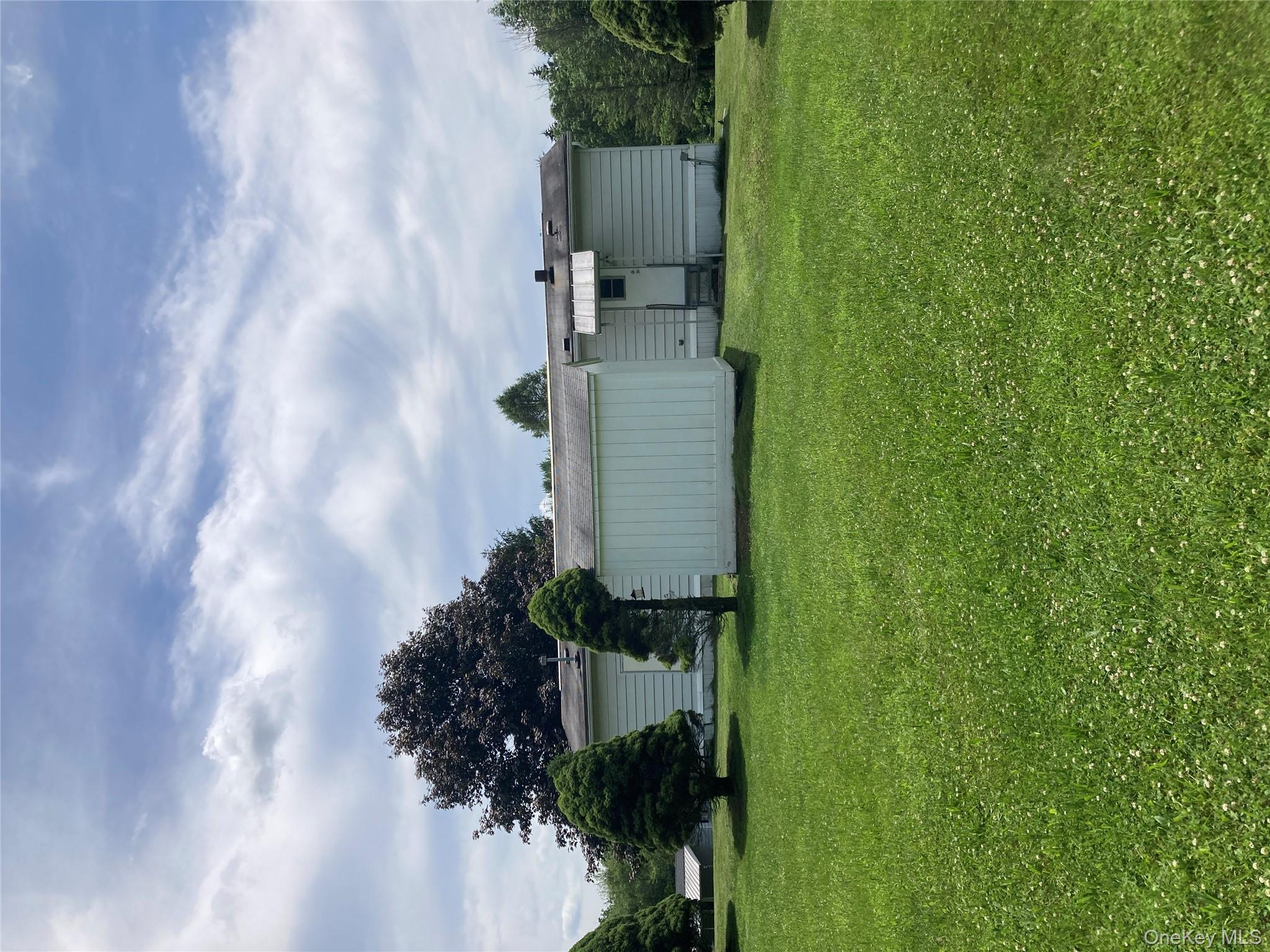 #17 photo, 1 Orchid, New Paltz , NY 12561