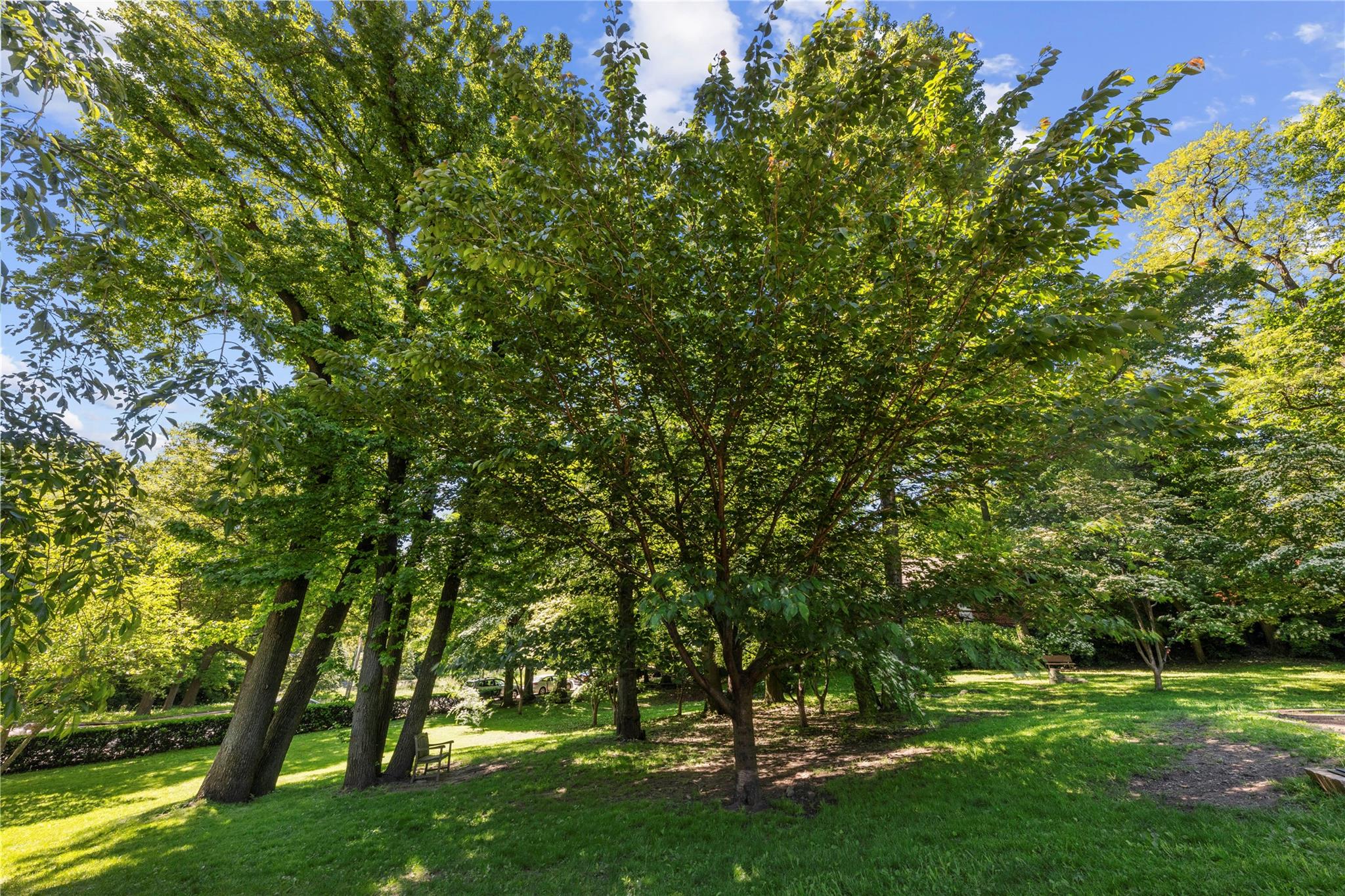 #15 photo, 5355 Henry Hudson Parkway, ブロンクス区 Bronx , NY 10471