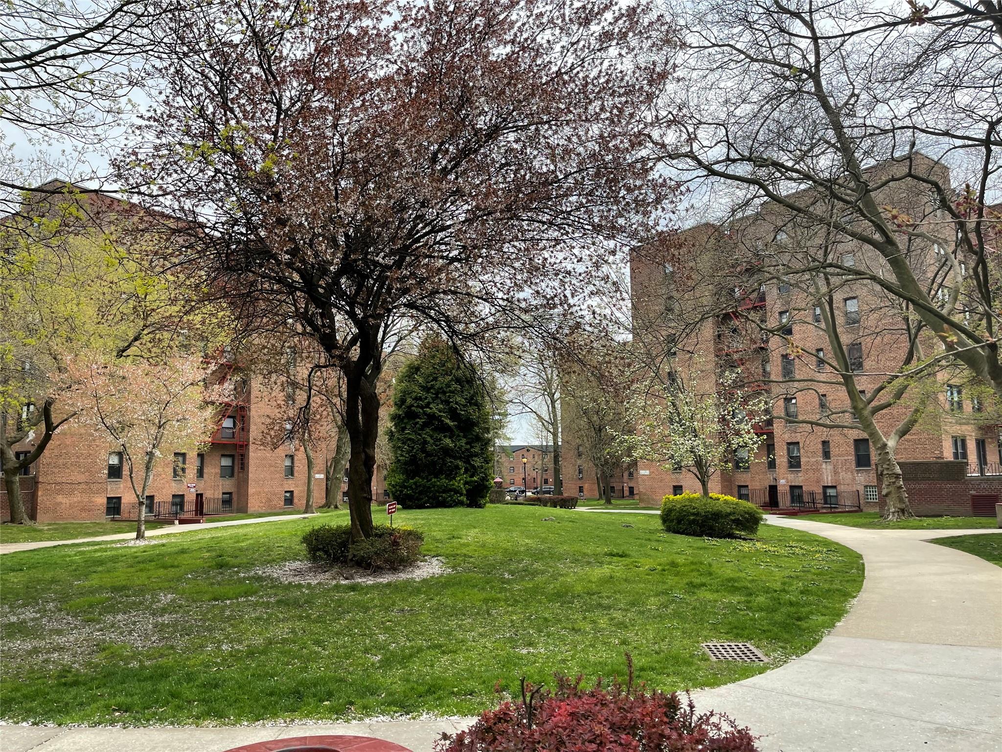 #15 photo, 150-11 72 Road, クイーンズ区 Flushing , NY 11367