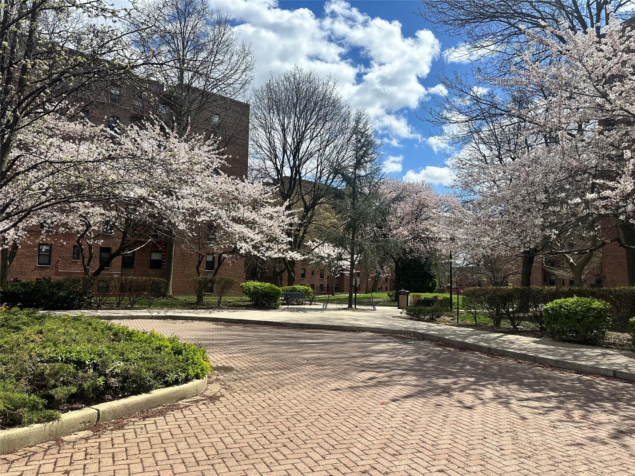 #18 photo, 150-11 72 Road, クイーンズ区 Flushing , NY 11367