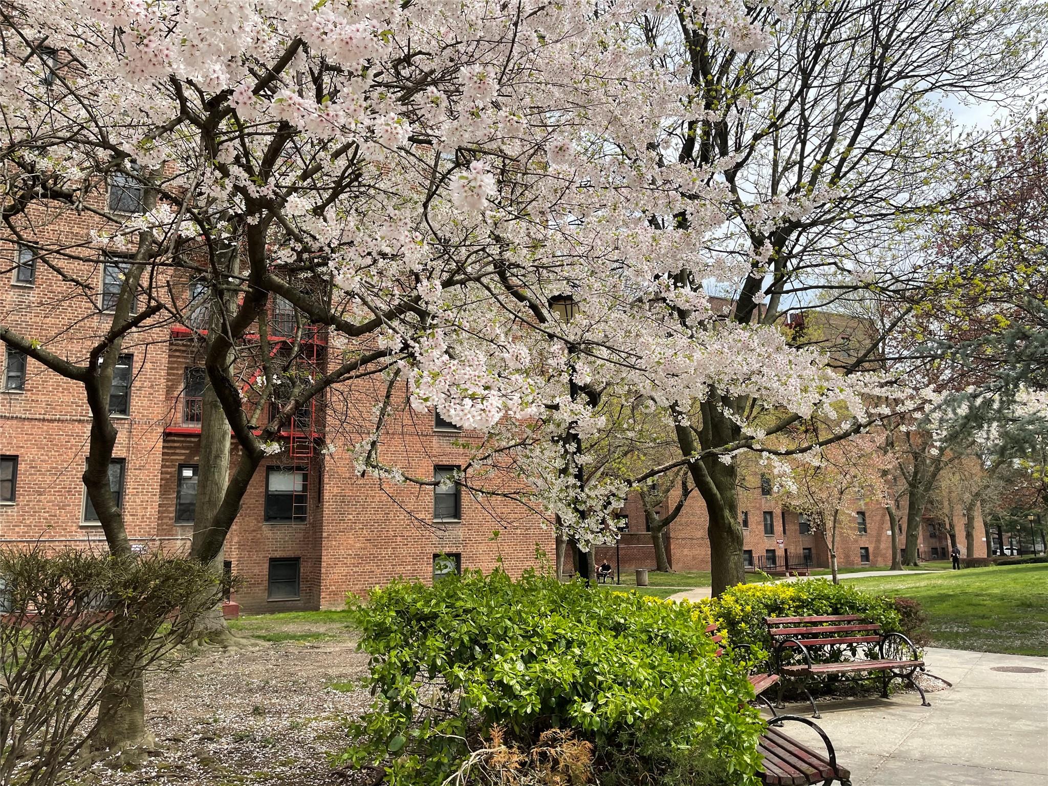 #2 photo, 150-40 71 Avenue, クイーンズ区 Kew Garden Hills , NY 11367