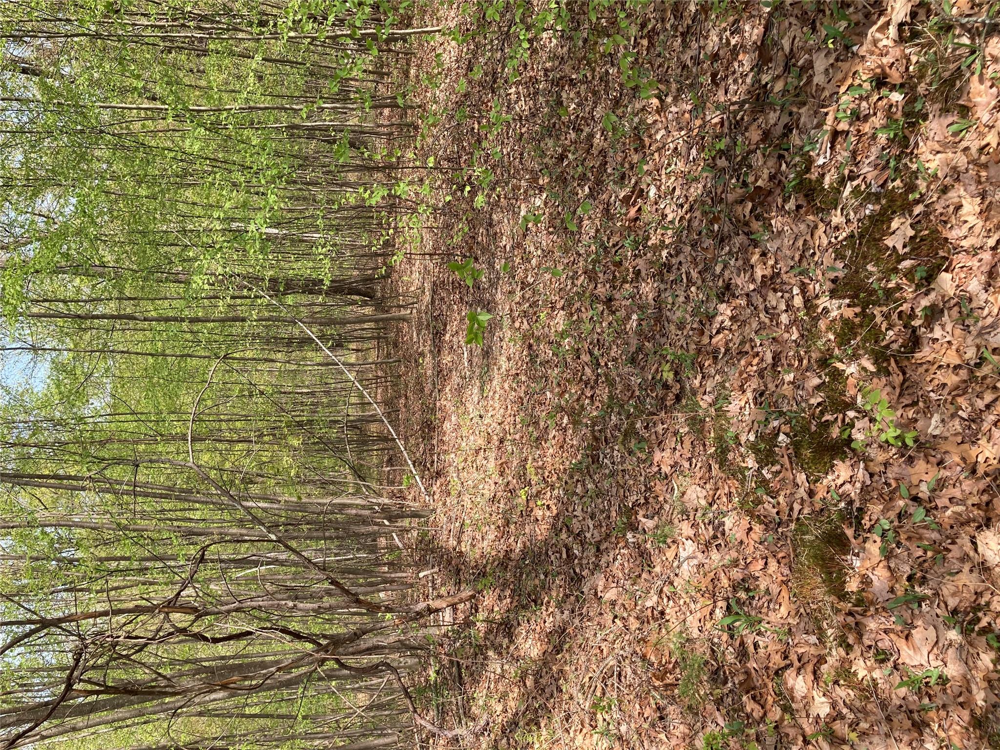 #10 photo, Canterbury Drive, Newburgh , NY 12550