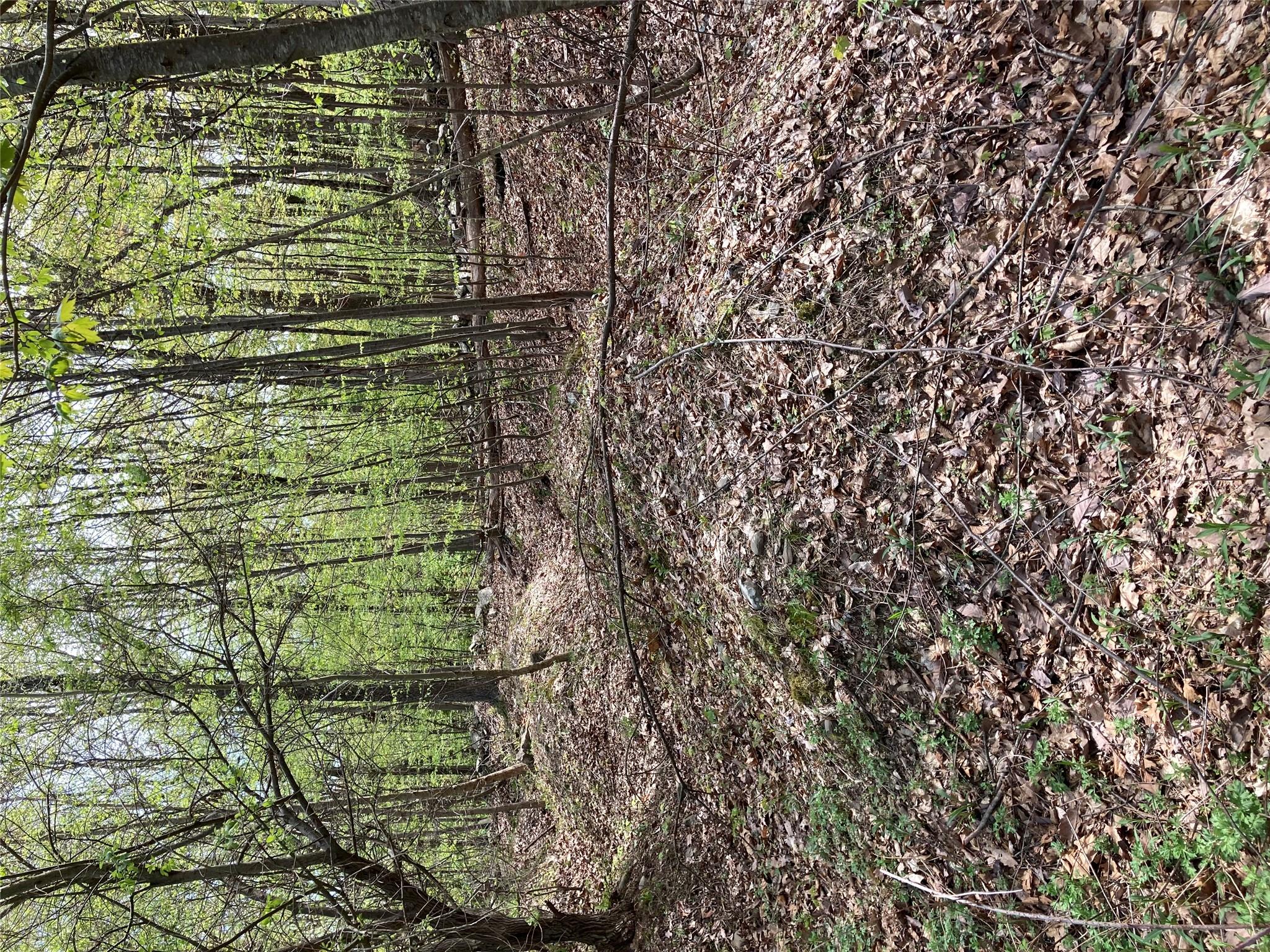 #3 photo, Canterbury Drive, Newburgh , NY 12550