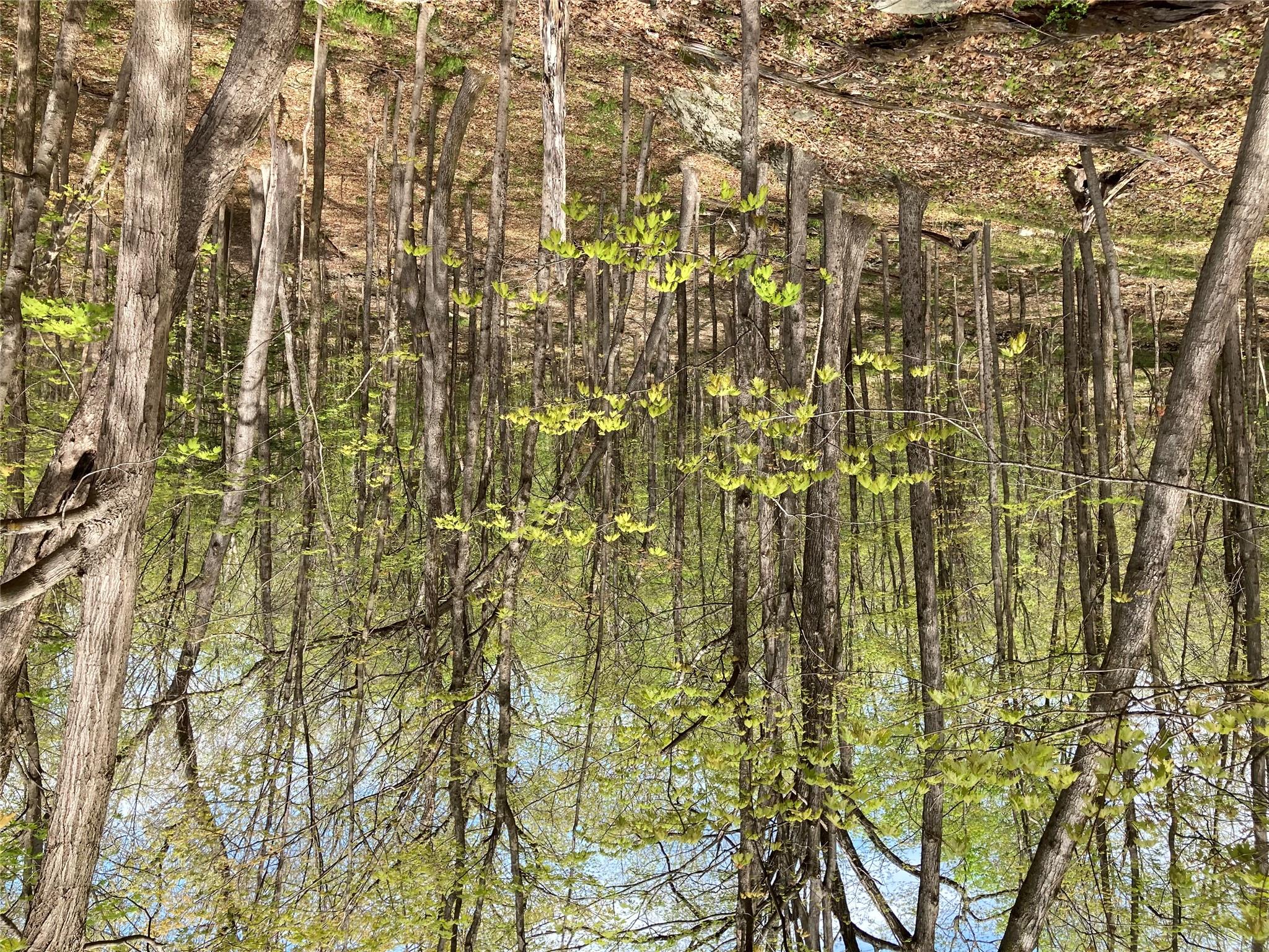 #9 photo, Canterbury Drive, Newburgh , NY 12550