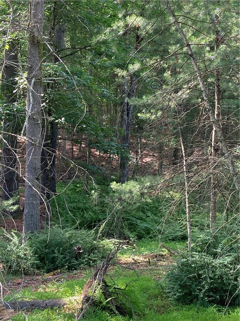#1 photo, Irishtown Road, Narrowsburg , NY 12764