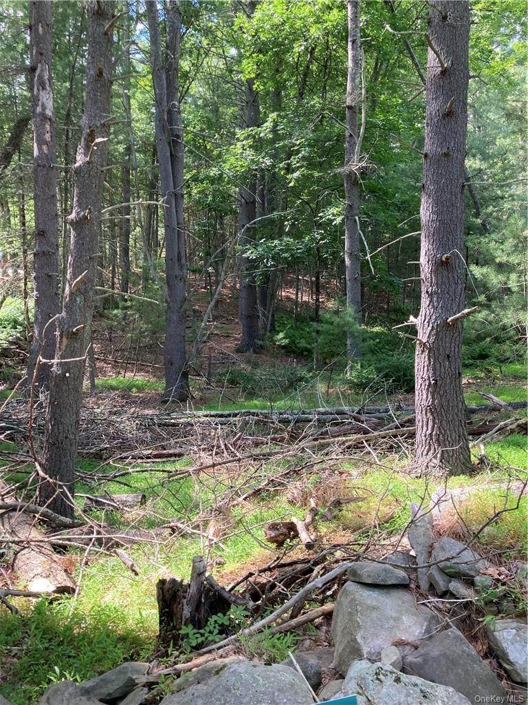 #2 photo, Irishtown Road, Narrowsburg , NY 12764