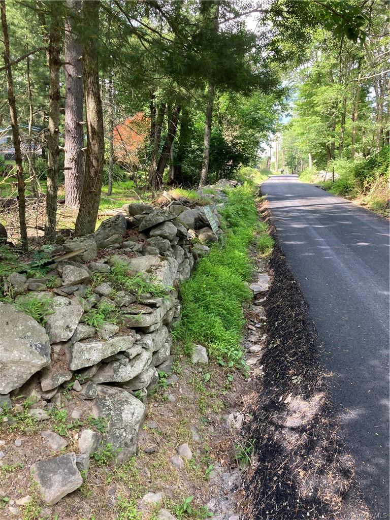 #3 photo, Irishtown Road, Narrowsburg , NY 12764