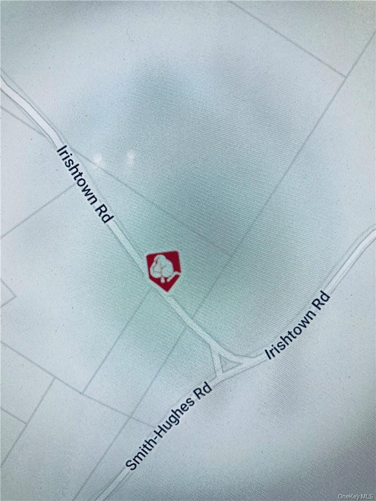 #4 photo, Irishtown Road, Narrowsburg , NY 12764