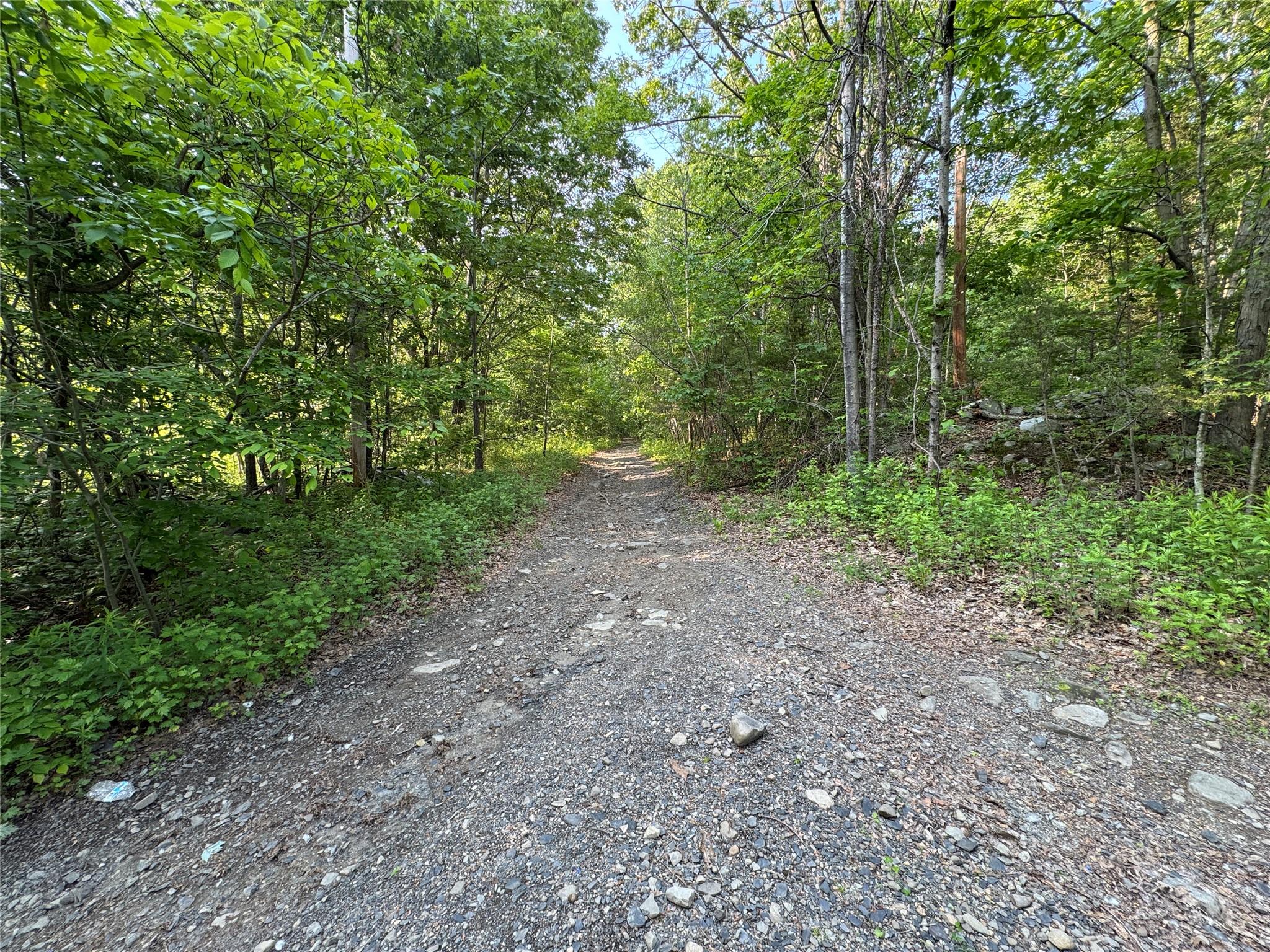 #1 photo, 16 Saul Trail, 紐約州 Wallkill , NY 12589