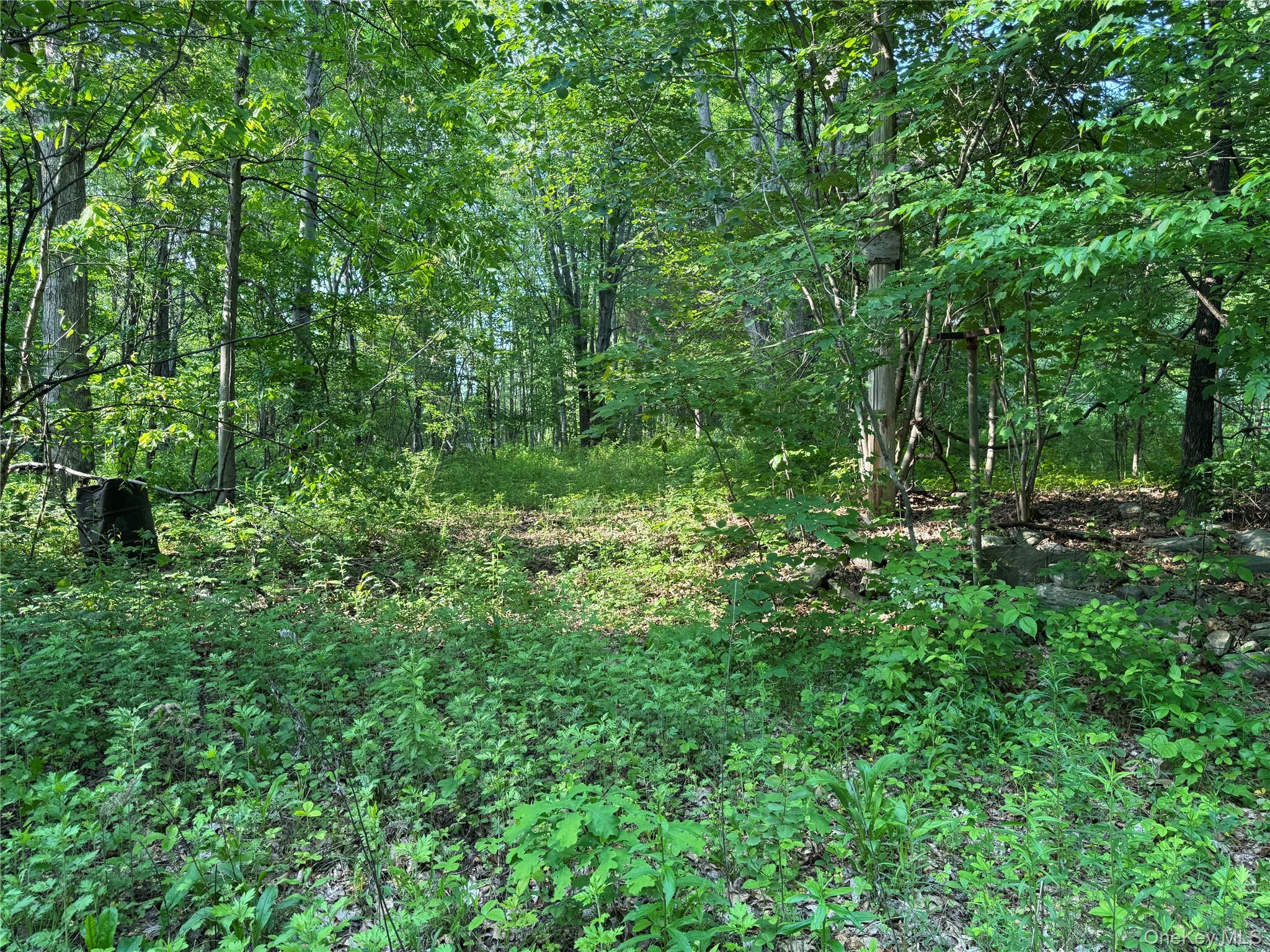 #2 photo, 16 Saul Trail, Wallkill , NY 12589