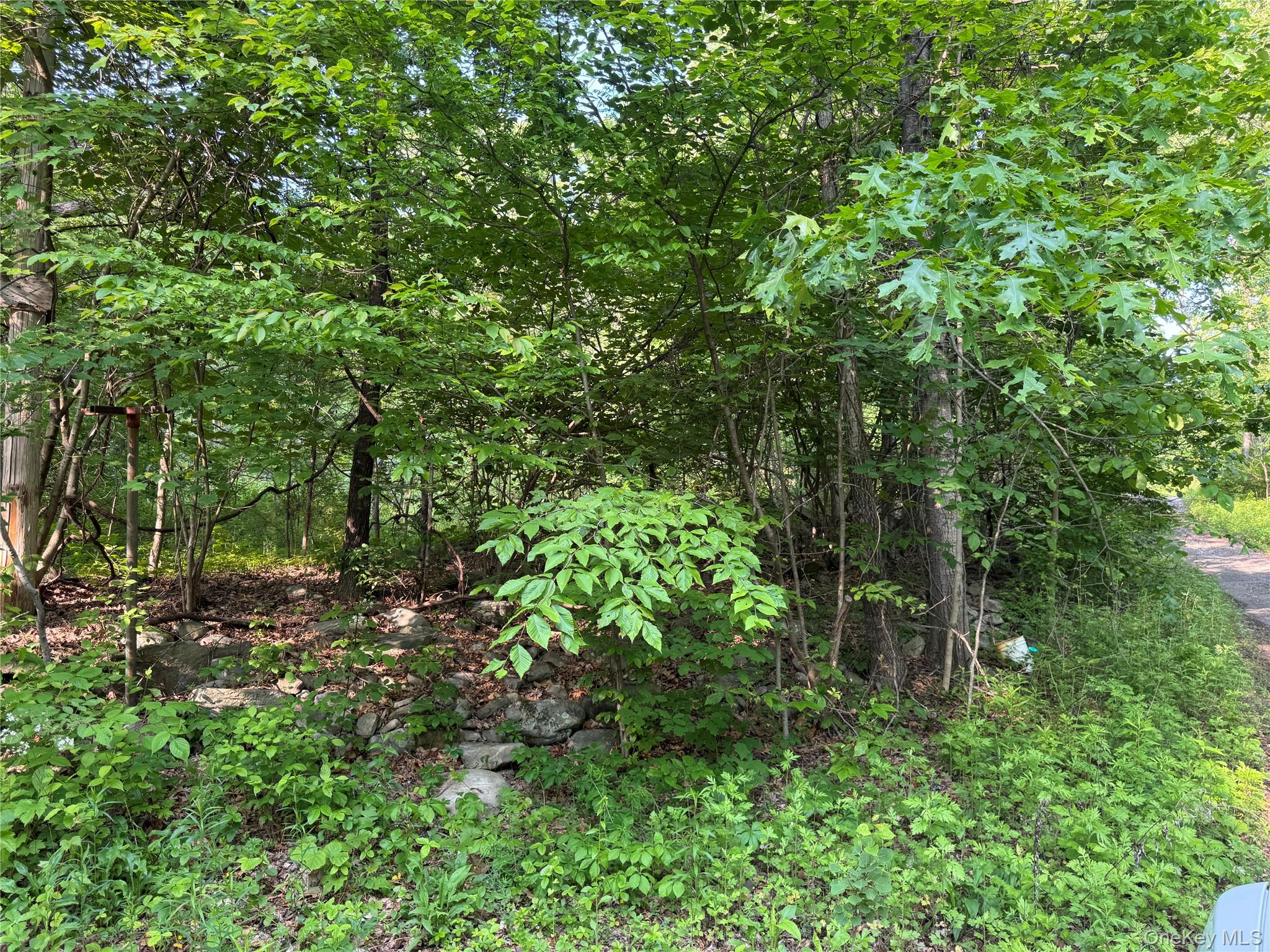 #3 photo, 16 Saul Trail, Wallkill , NY 12589