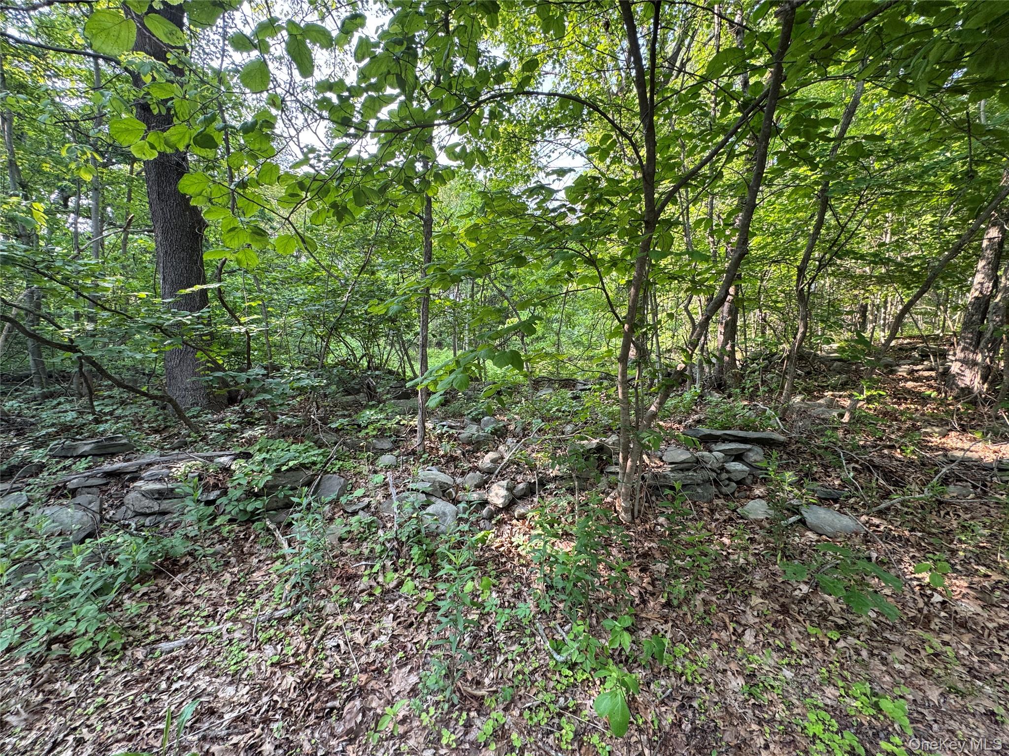 #6 photo, 16 Saul Trail, Wallkill , NY 12589