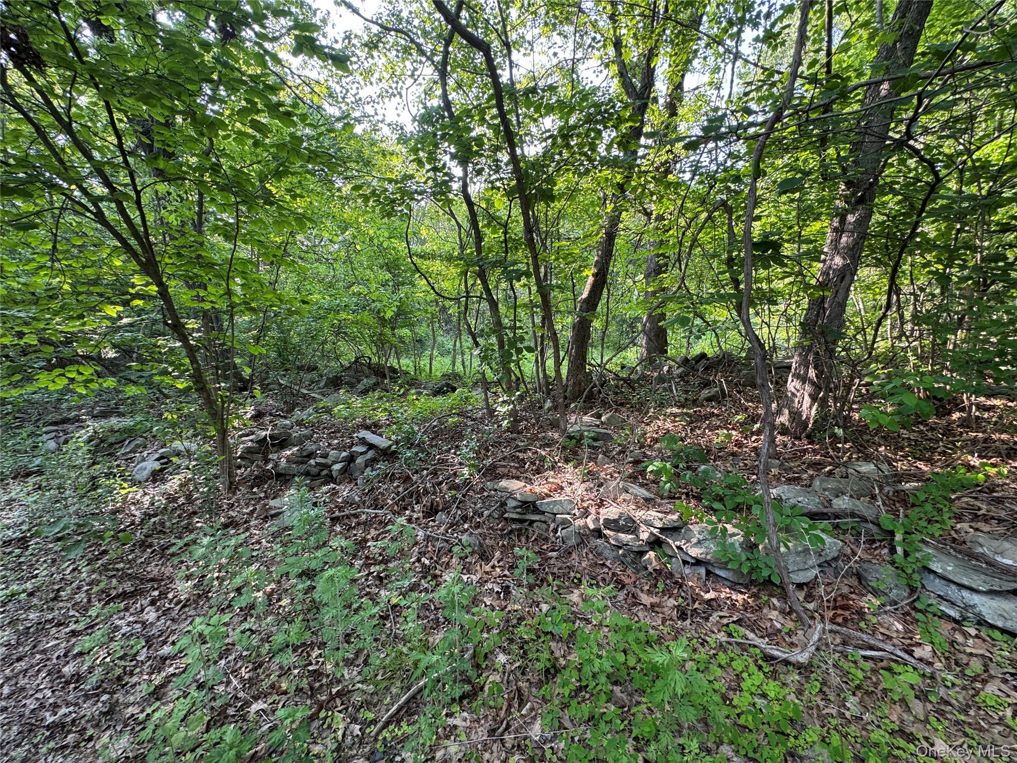 #7 photo, 16 Saul Trail, Wallkill , NY 12589