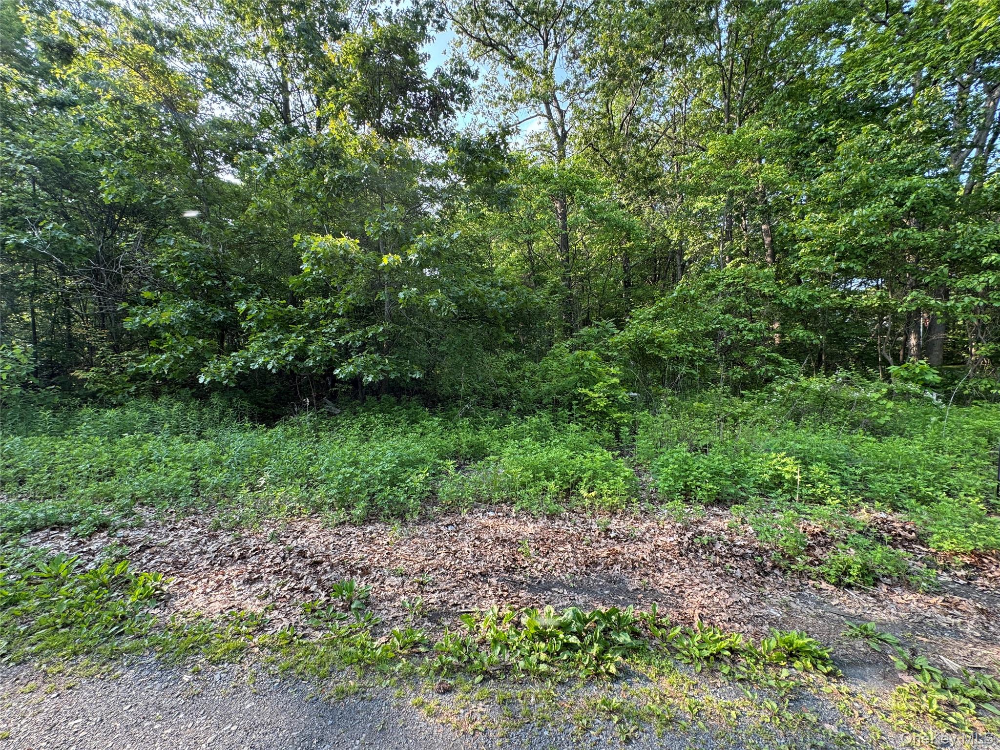 #8 photo, 16 Saul Trail, Wallkill , NY 12589