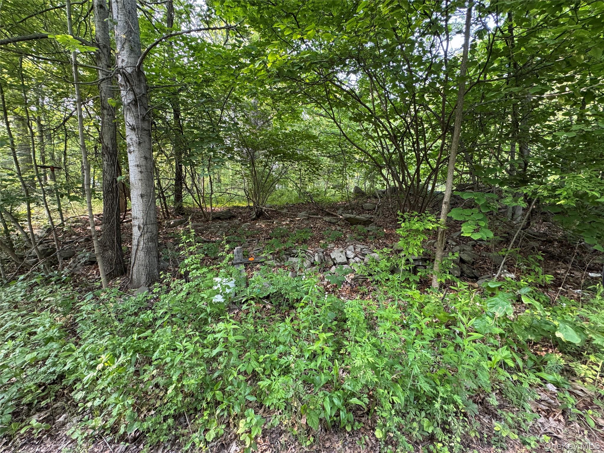 #6 photo, 24 Saul Trail, Wallkill , NY 12589