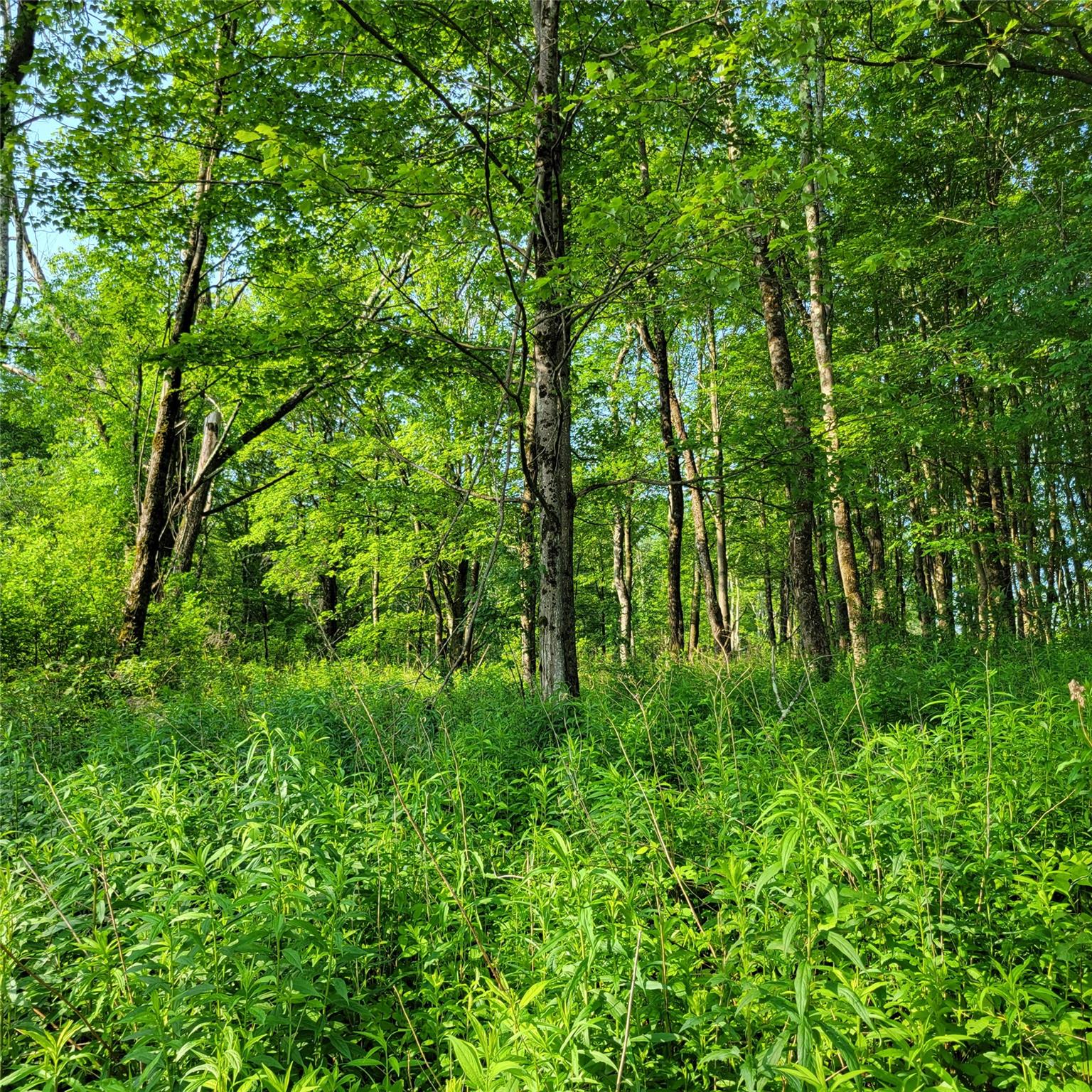 #10 photo, 1283 Old Route 17, Harris , NY 12734