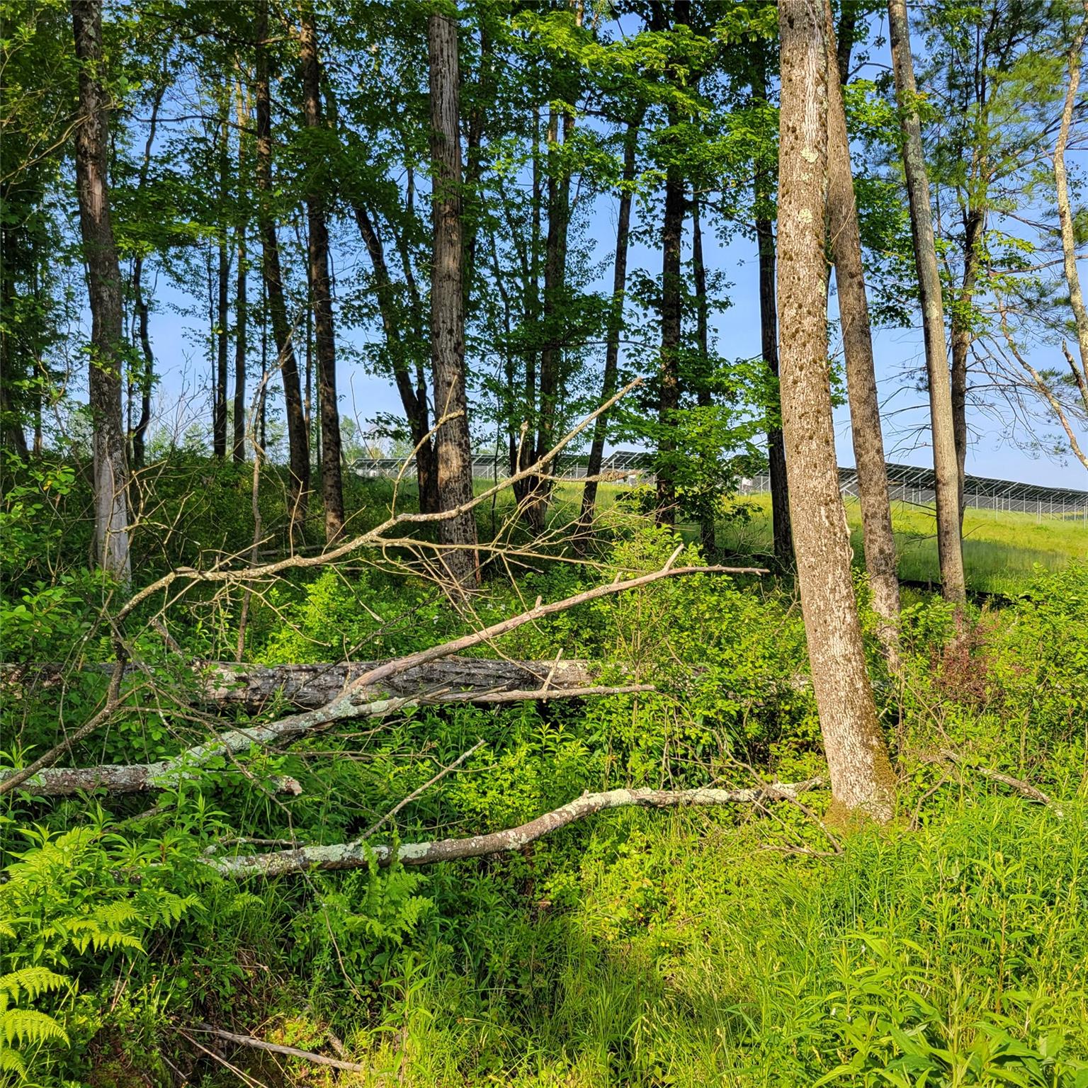 #14 photo, 1283 Old Route 17, Harris , NY 12734