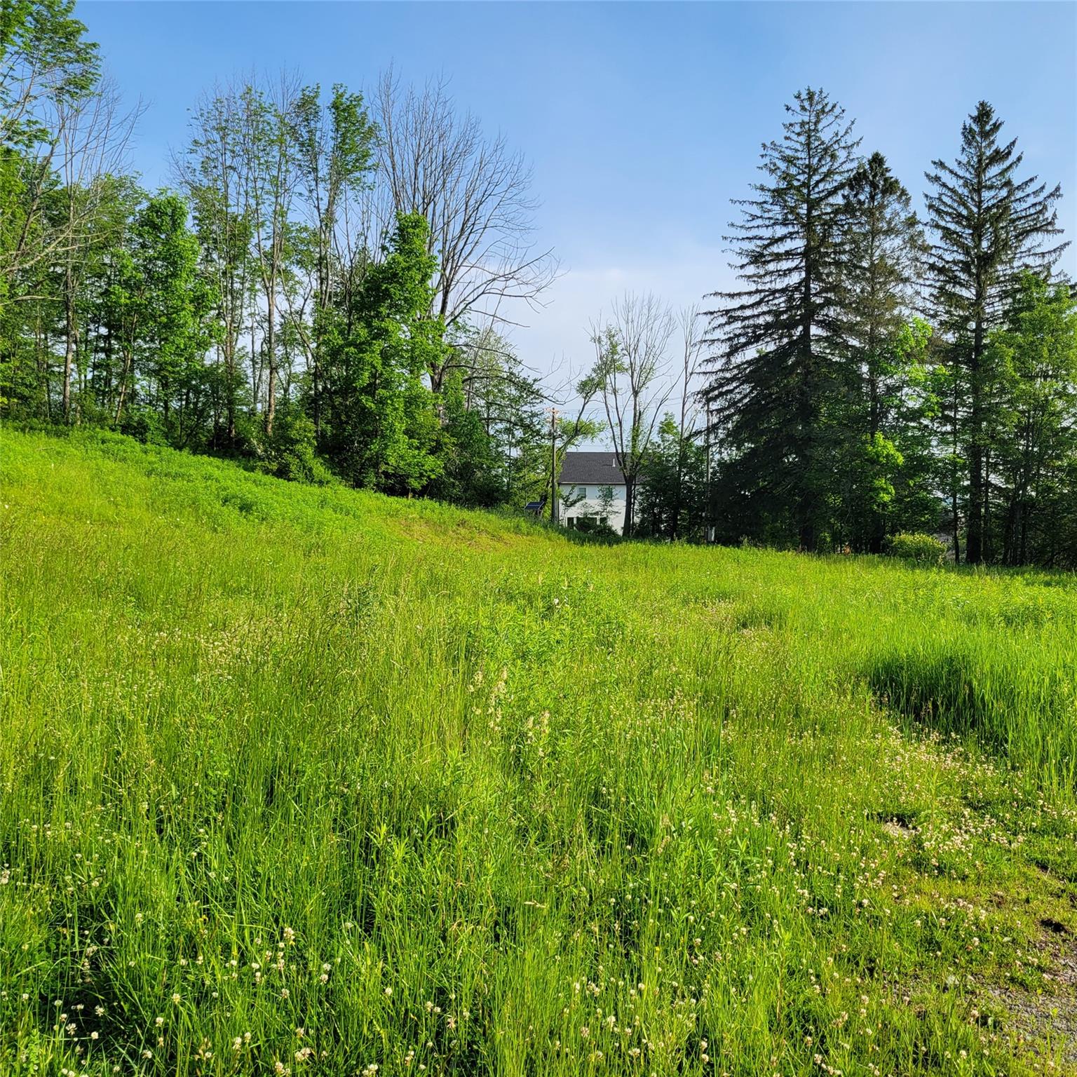 #15 photo, 1283 Old Route 17, Harris , NY 12734